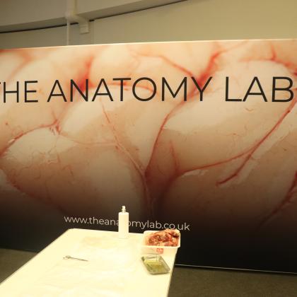 The Anatomy Lab Visits ESC 